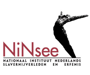 NiNsee logo